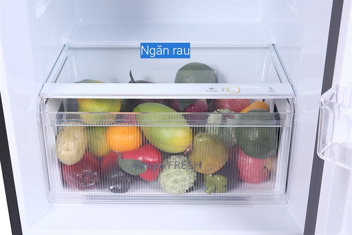 Tủ Lạnh Toshiba Inverter 311 Lít GR-RT395WE-PMV(06)-MG